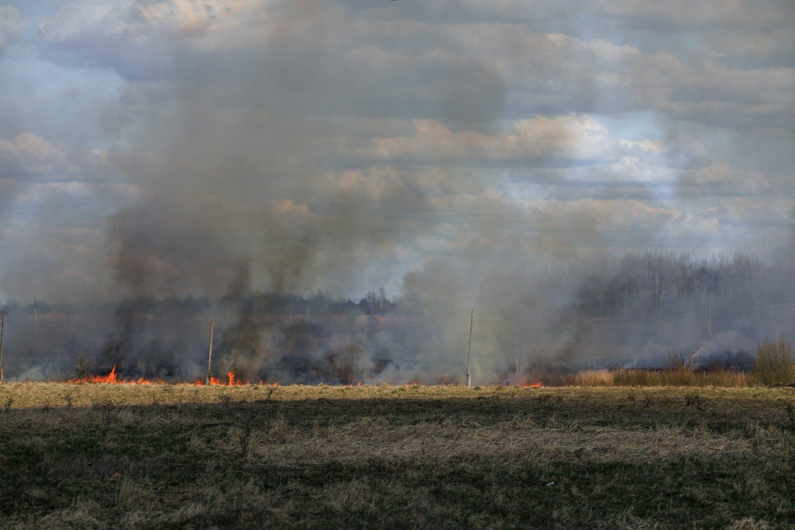 Field fire with smoke rising against cloudy sky